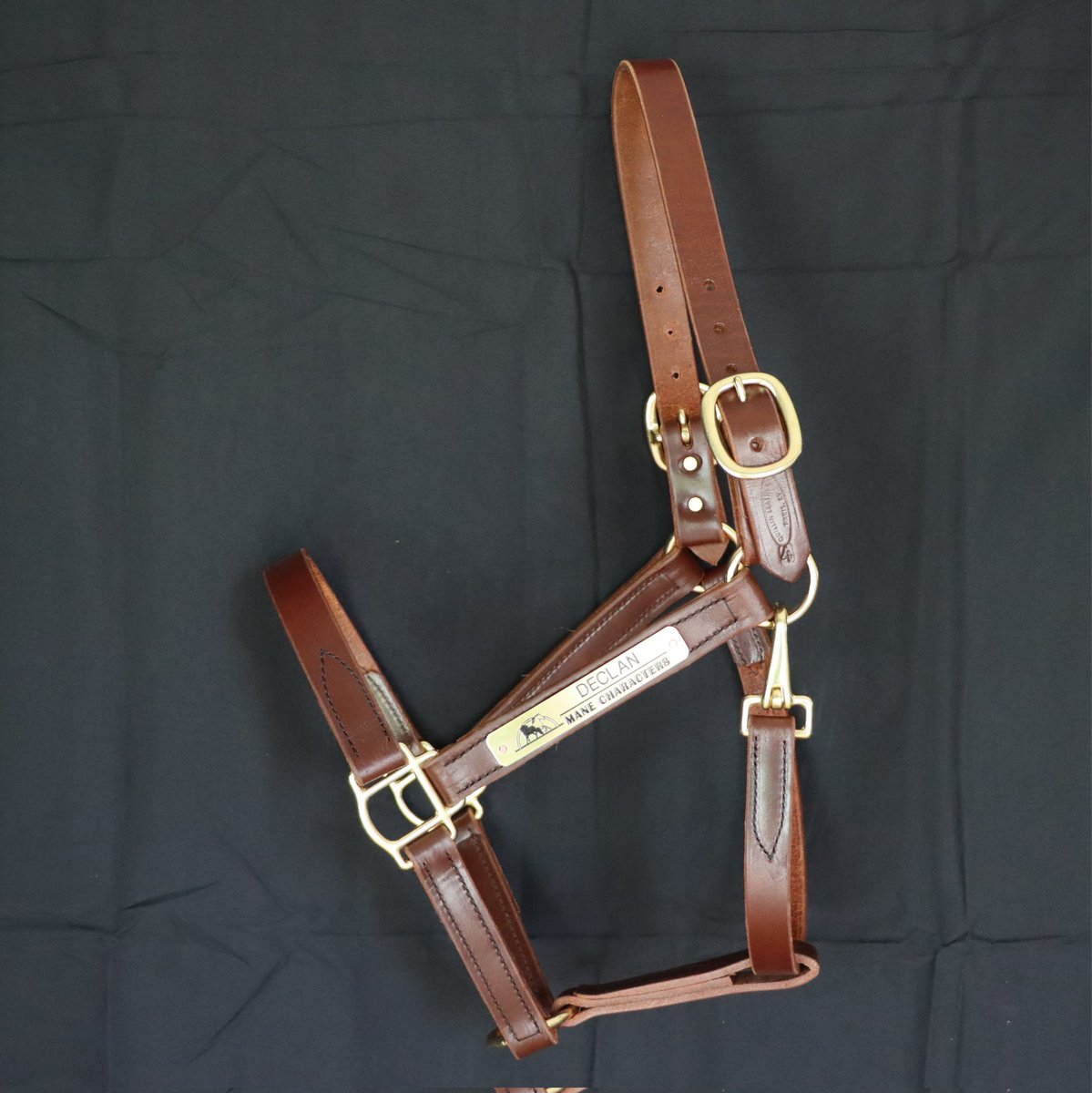 Mane_Characters's tweet photo. Excited to share our new #CustomHalters and nameplates from Quillin Leather! They're AMAZING! Before they get scratched and dirty (inevitable, right? π), here's a sneak peek. Huge thanks to Quillin's for these beauties! Stay tuned for pics of our Characters sporting them! π΄β¨ https://t.co/ttIctcclXn