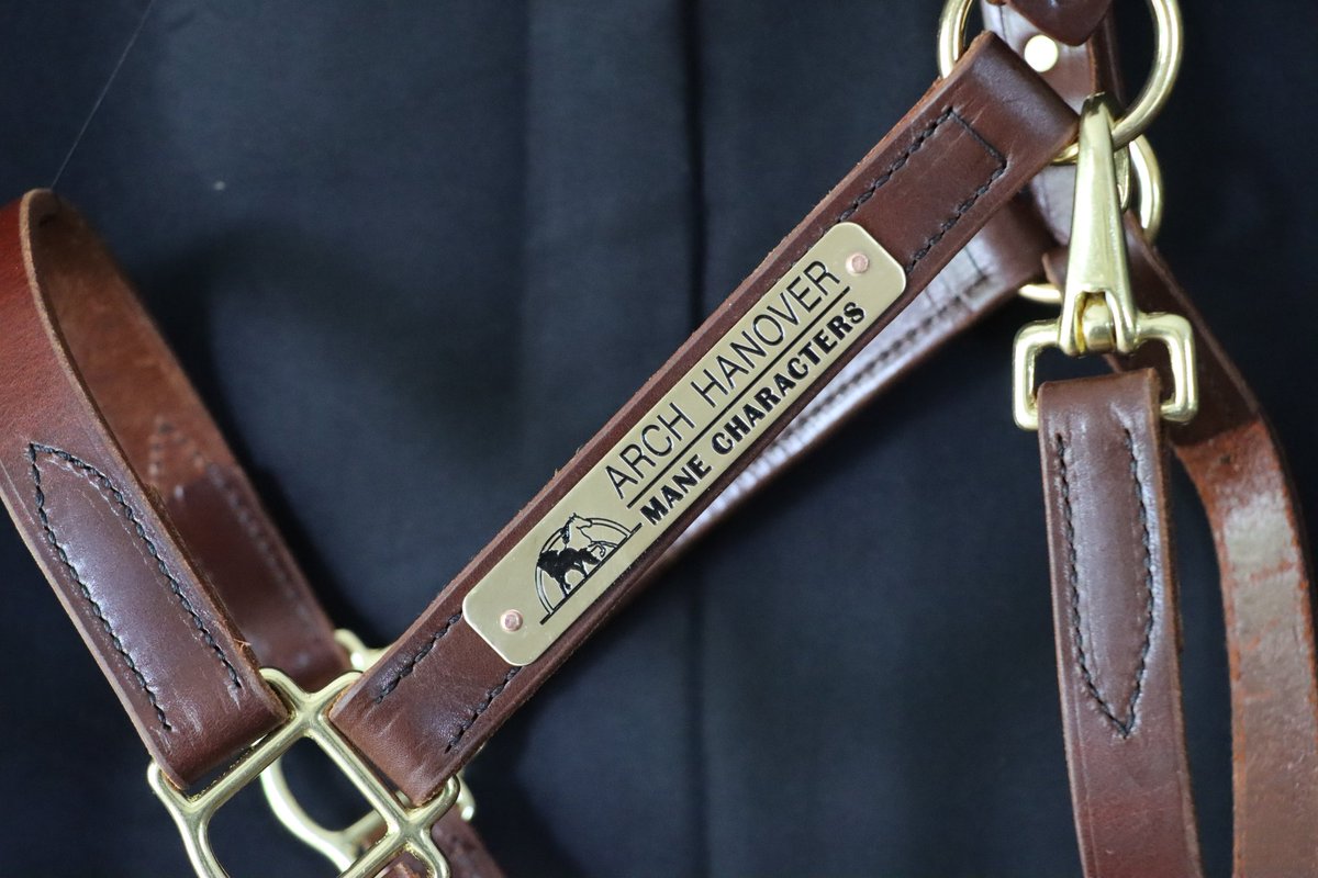 Mane_Characters's tweet photo. Excited to share our new #CustomHalters and nameplates from Quillin Leather! They're AMAZING! Before they get scratched and dirty (inevitable, right? π), here's a sneak peek. Huge thanks to Quillin's for these beauties! Stay tuned for pics of our Characters sporting them! π΄β¨ https://t.co/ttIctcclXn