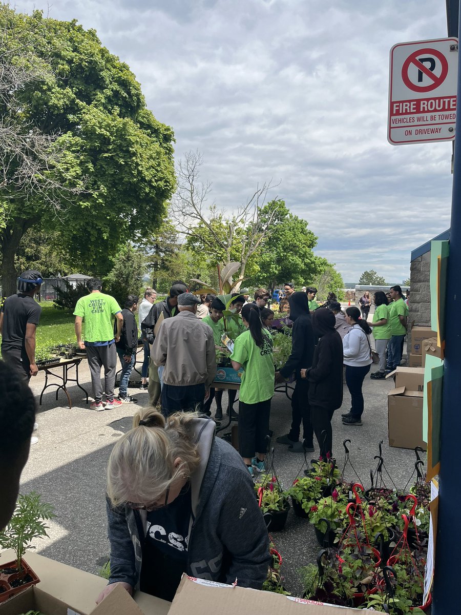 Michelle Dias tweet media