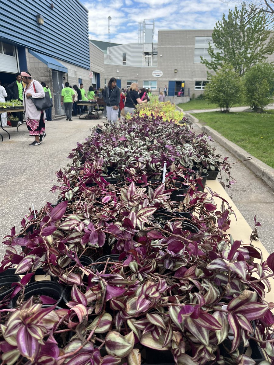 Michelle Dias tweet media