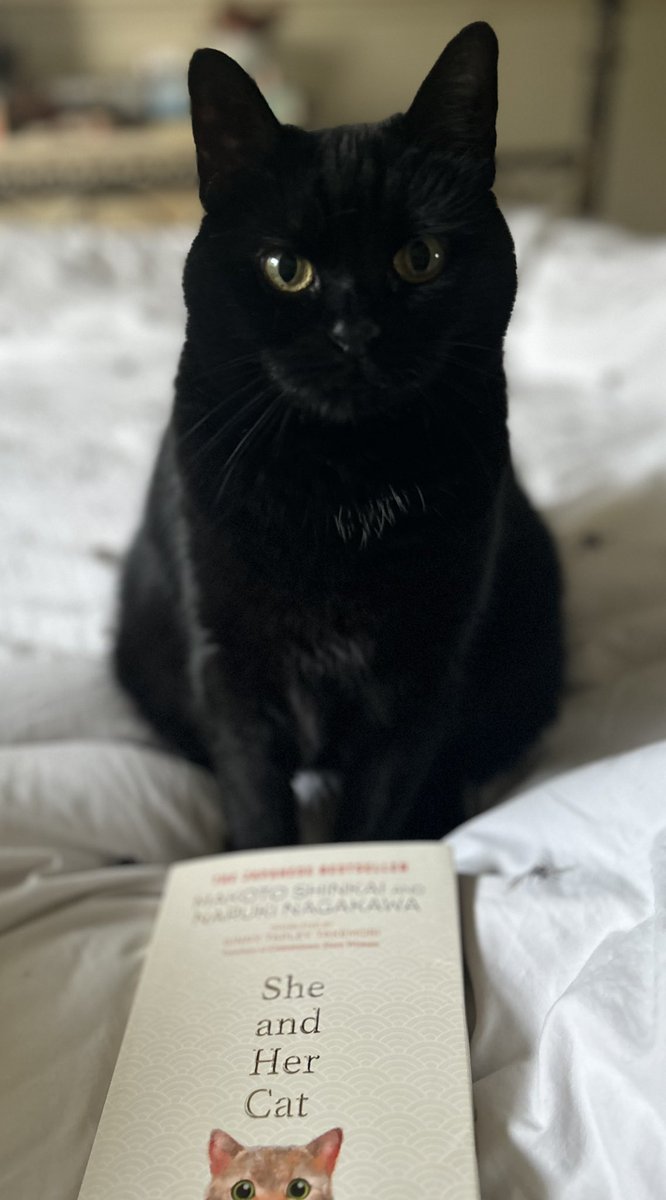 Red Wytch 💜🤍💚 tweet media