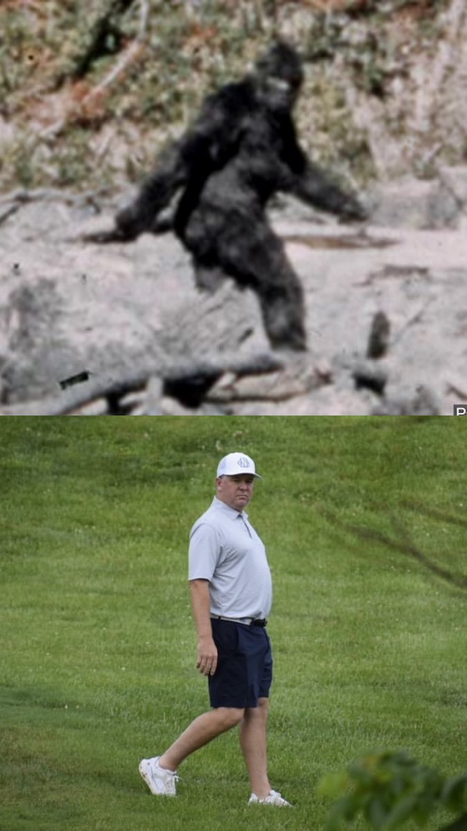 UNG Men's Golf tweet media