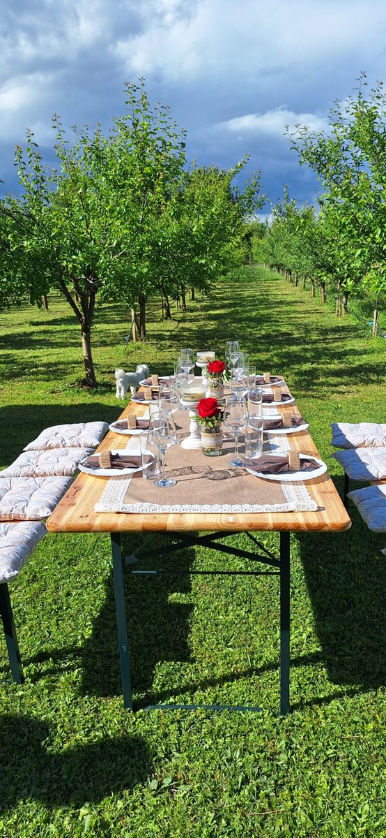 Some of our village households are just perfect for small incentive groups 🥂🌷✨
#incentives #Montenegro 
#MontenegroAdventures