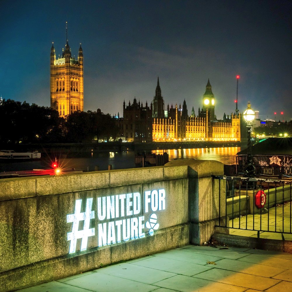 ⚡ ACTION! ⚡

🕘 At 9.30 on 15 May, @CarolineLucas will lead a Westminster Hall debate on biodiversity loss.

🌱 Across our once wild isles, nature is in peril. If you care about UK wildlife, and the need to #RestoreNatureNow, ask your MP to take part.

🚨 Tag/email your MP now.…