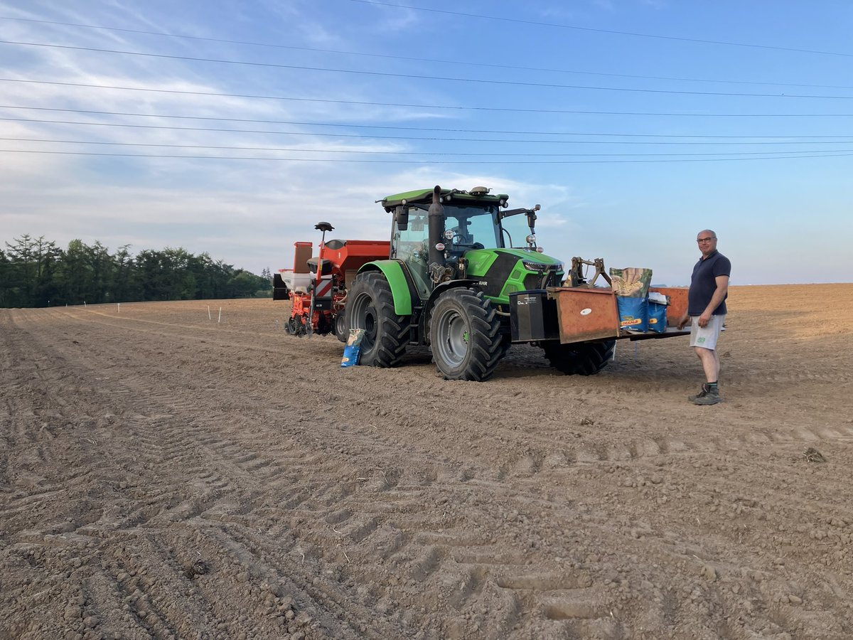 Hop, un essai de plus de semé ! 73 modalités, écartements réduits, densités et de nombreuses variétés. Merci @LeBretonPasca17 et @MalgornVincent #CeuxQuiFontLesEssais