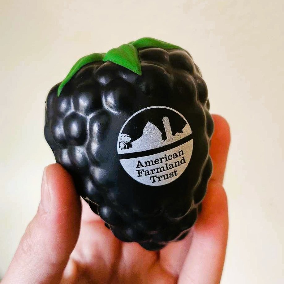What's better than a stress ball? A stress blackberry! Catch us at an event near you this Summer for the chance to get one.