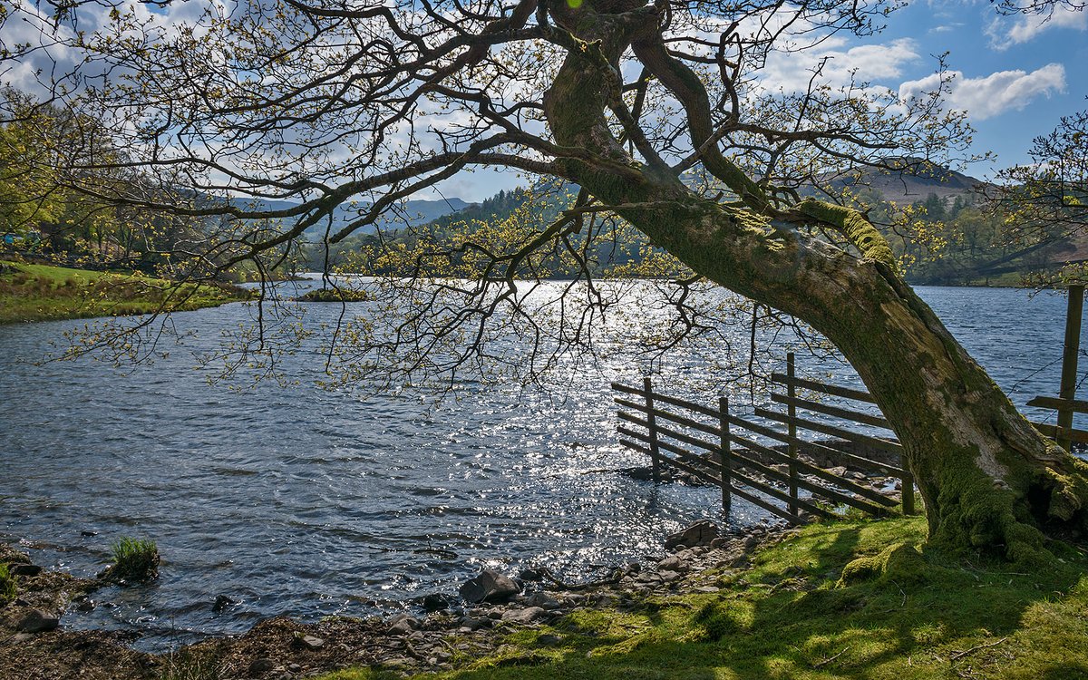 Rydal Water, Lake District NP