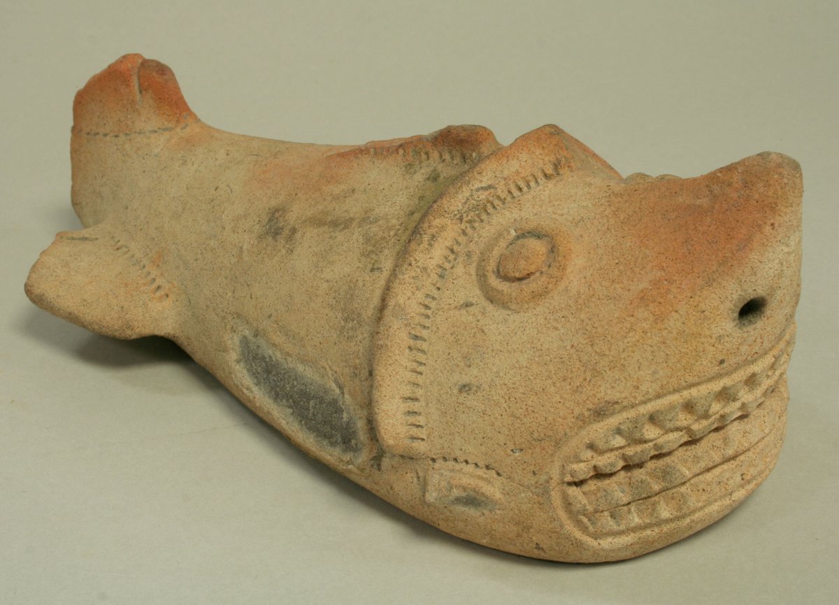 For #FishFriday + #FintasticFriday : Giving #Sharks #Rays #Skates & #Sawfish a Voice, a celebration of all #Elasmobranchs:
Shark
Tolita-Tumaco (Columbia/Ecador), 1st-5th c. CE
Ceramic, L. 8 1/2 in. (21.6 cm)
@metmuseum 1980.34.24 metmuseum.org/art/collection…
#IndigenousArt