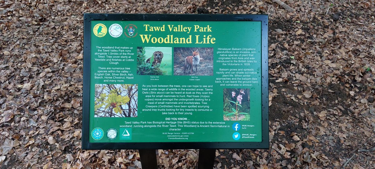 Team Tawd and Ranger Chris installed interp' boards in the valley, today. They inform about the valley and its wildlife. A big thank you to everyone for their efforts, not forgetting @Flickamatuta and Ranger Hannah who collected the info and designed the layouts of the boards.