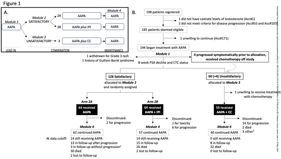 1/4 Congrats to @aaparicioMD and team on this adaptive, investigator-initiated trial of 192 men with mCRPC @CCR_AACR ! shorturl.at/uwAFS  All men got 8 weeks of AAPA. Based on PSA decline at 8 weeks, went on to add ipi, continue AAPA, or add cabazi/carbo