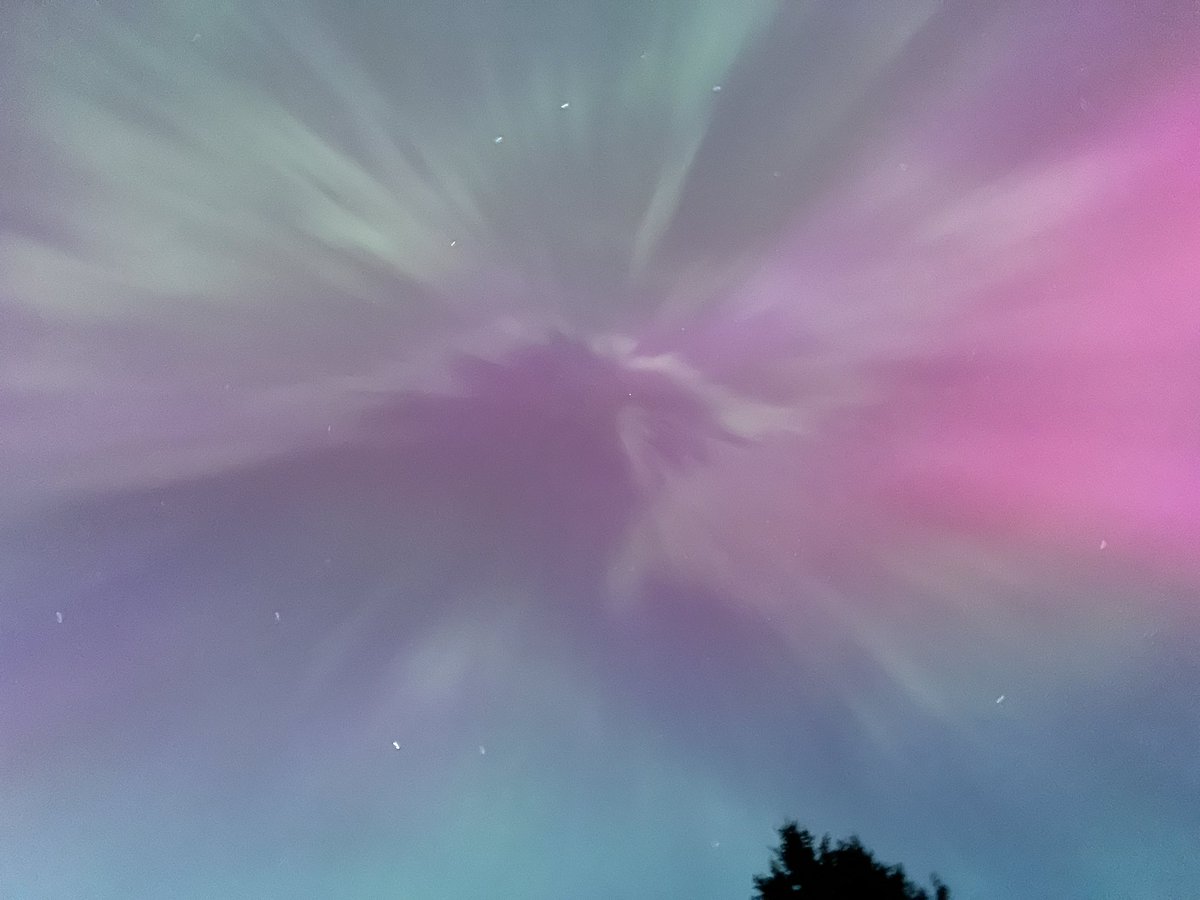 Signe Kacēna (@mammazaurs) on Twitter photo 