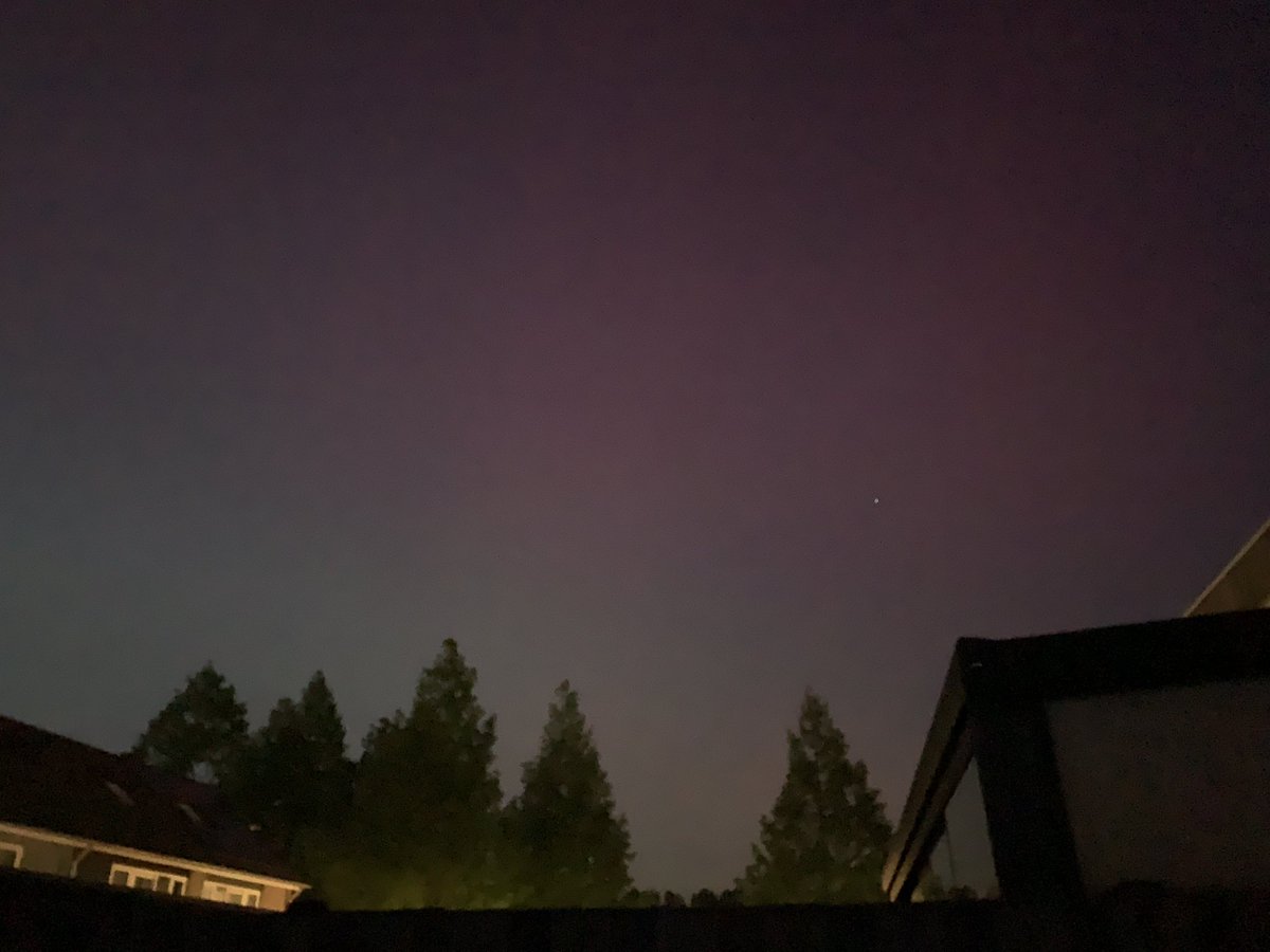 Zangstem's tweet image. Ik zie ook met het blote oog een roze zweem. #noorderlicht #aurora