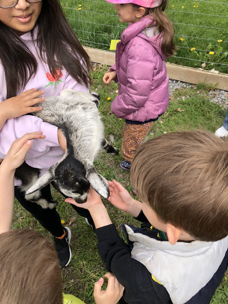 MsKaraoulis tweet media