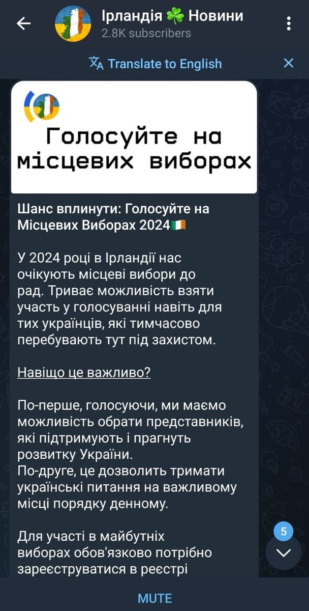 Ukrainians in Ireland Telegram group reminding their community that they're allowed to vote in Irish local elections, and how it's an opportunity to advance their own national interests.