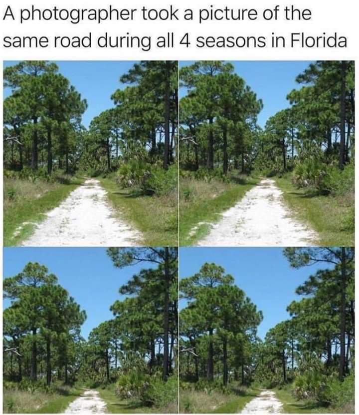 Ah, Florida! Fair.