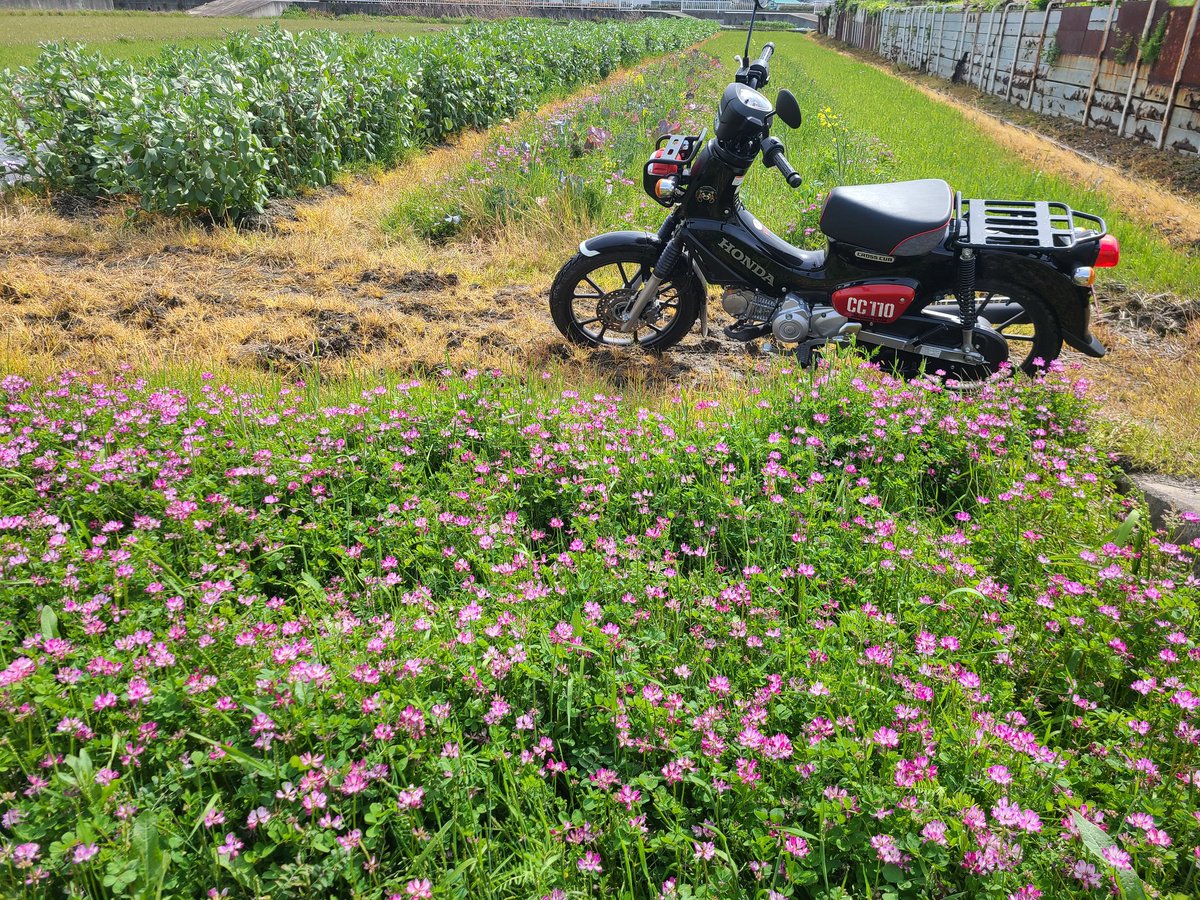 蓮華畑🛵