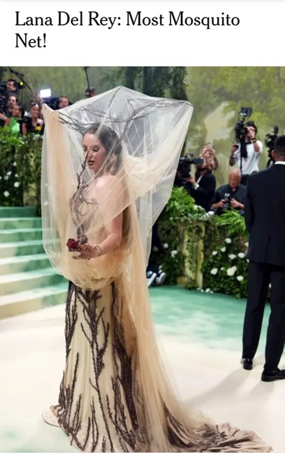 We love Lana’s look, but mosquitoes don’t! 🦟 Bed nets treated with insecticides are proven to reduce cases of malaria. Learn more about what bed nets and other tools can do to create a malaria-free world: gates.ly/4butoGP 📷: @NYTimes/Amir Hamja