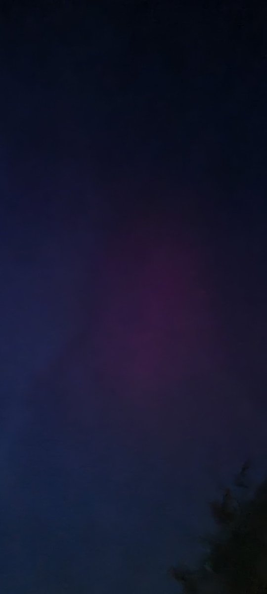 Melanie During, PhD. ⛏🦕🦖🦩🍉 tweet media