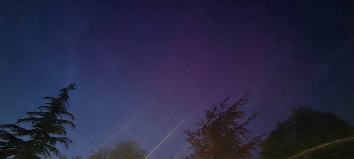 Melanie During, PhD. ⛏🦕🦖🦩🍉 tweet media