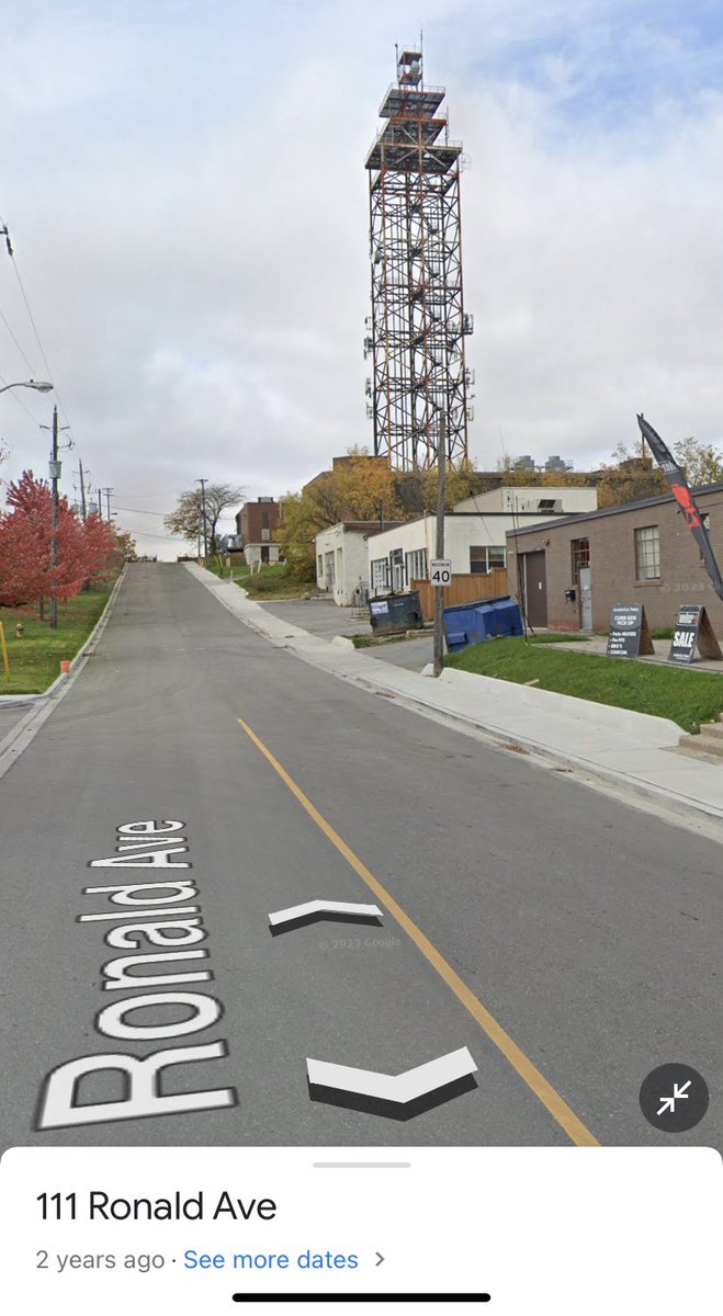 Catharine MacKenzie tweet media