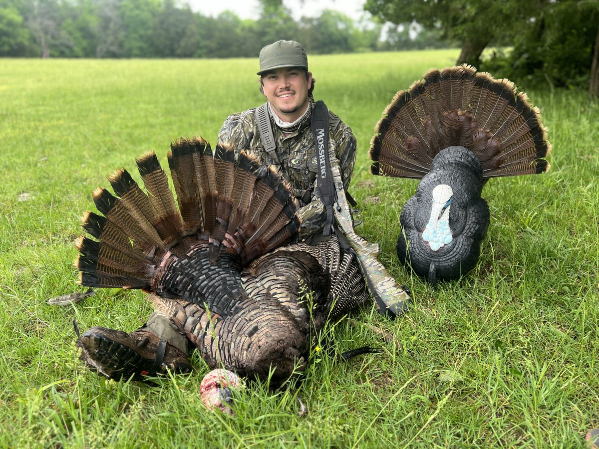 🦃 down! Are you chasing thunder chickens this weekend? #mossberg #shotgun #turkeyhunting