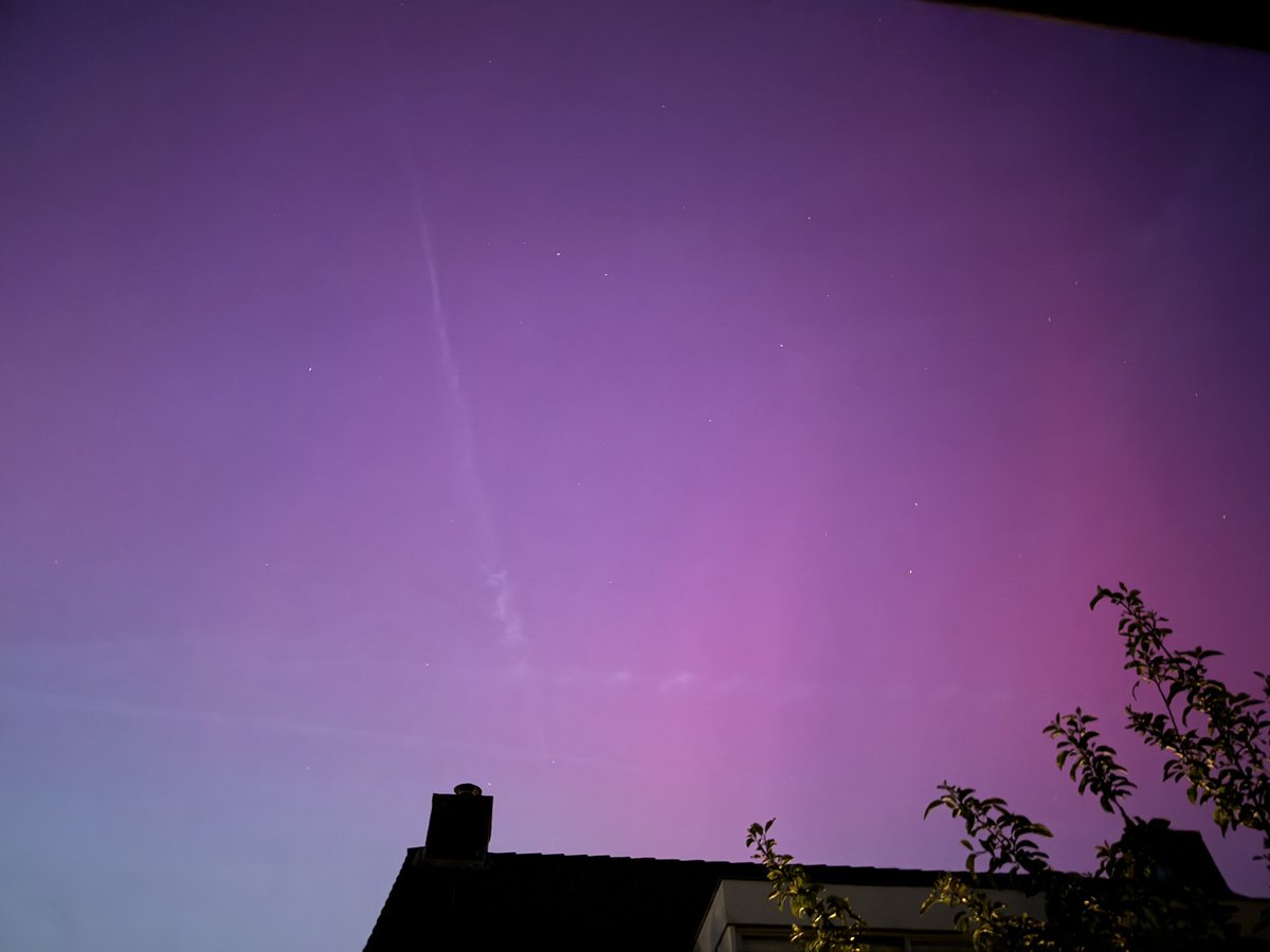 Sander tweet media