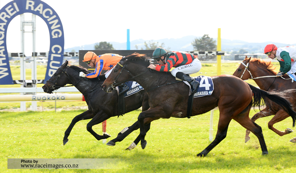 IMPERATRIZ: Win #8 of 19 saw Berri resume for her first 4YO start and claim the Keri Keri Cup at Ruakaka fresh up for stable rider @opie_bosson - carrying 60kgs she broke the 1100m track record, not to be the last of her record breaking feats as @TheValley knows all too well ...…