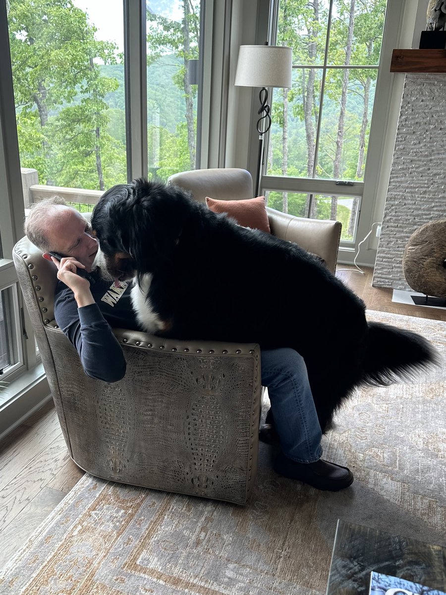 Anyone else have a child that doesn’t like you talking on the phone? #BerneseMountainDog