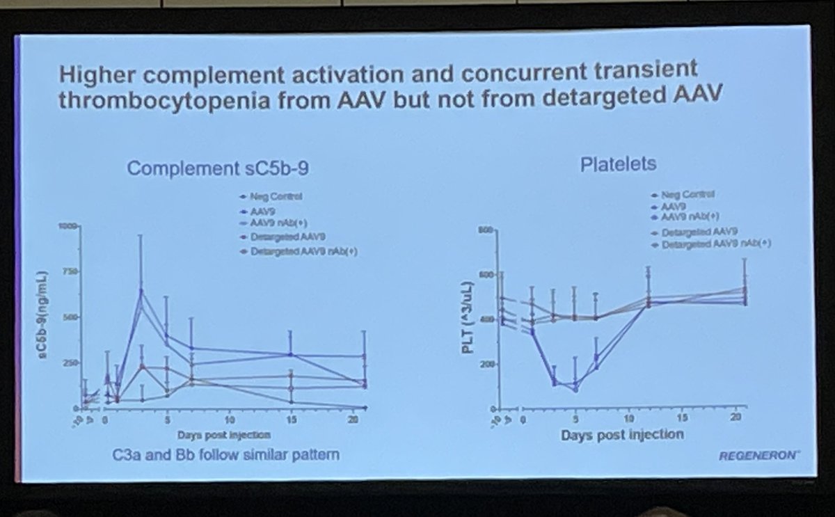 Removal of galactose binding domains from #AAV prevented complement activation in NHP. Regardless of antibodies. We have a lot to learn about AAV-associated TMA. #ASGCT Andrew Baik, Regeneron