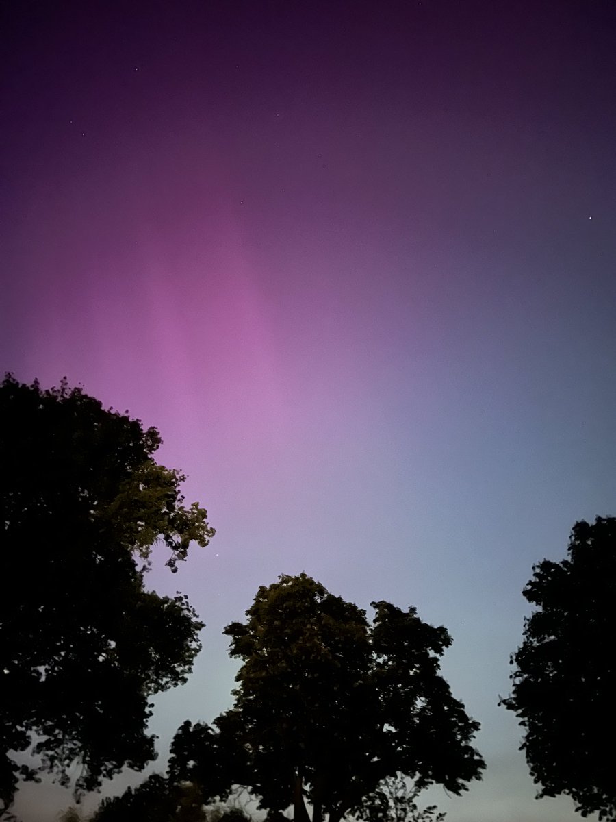 Herman Roelink tweet media