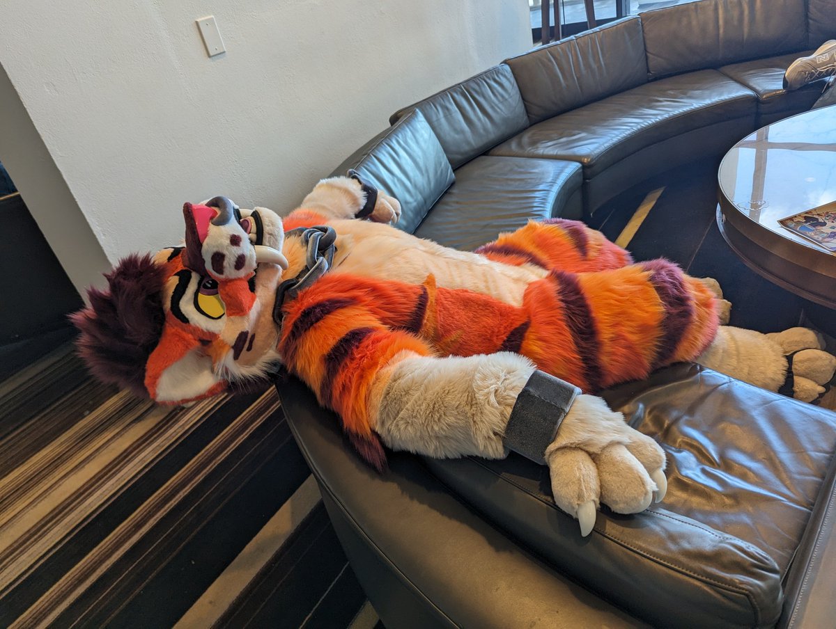 Taavi | Taiga tweet media
