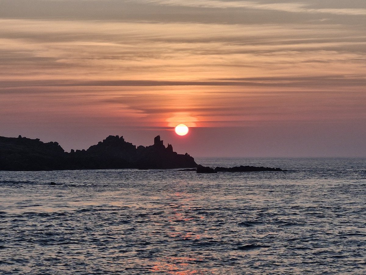 A good day to be out and about. On Bryher had flyover Osprey, Wood and Common Sands, Siskin and L Redpoll.  3 Tree Pipits and 2 Spot Fly. This evening we had flock of 17 and 2 more G Divers nr Annet and 50+ Manx, 10+ Purple Sands, a Greenshank plus 30+ Puffins + a nice sunset.