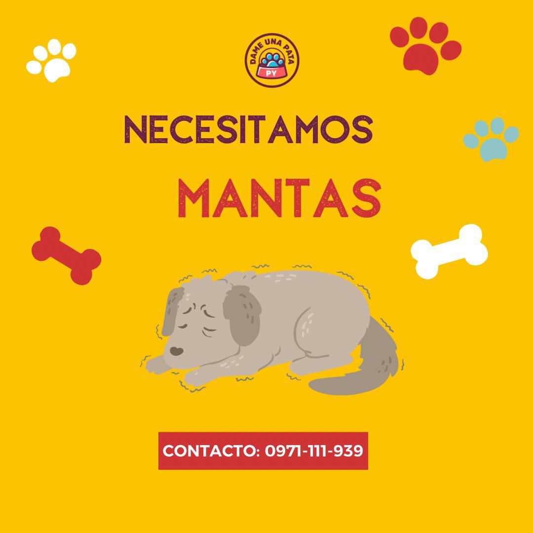 Tías y tíos la próxima semana pronostica descenso de temperatura y nosotras necesitamos mantas para nuestros perritos y gatitos que están en guardería y nuestros internados en la vete, ellos buscan donde acurrucarse 🙏🏼🐶🐱

A diario se lavan las mantas y siempre nos falta.