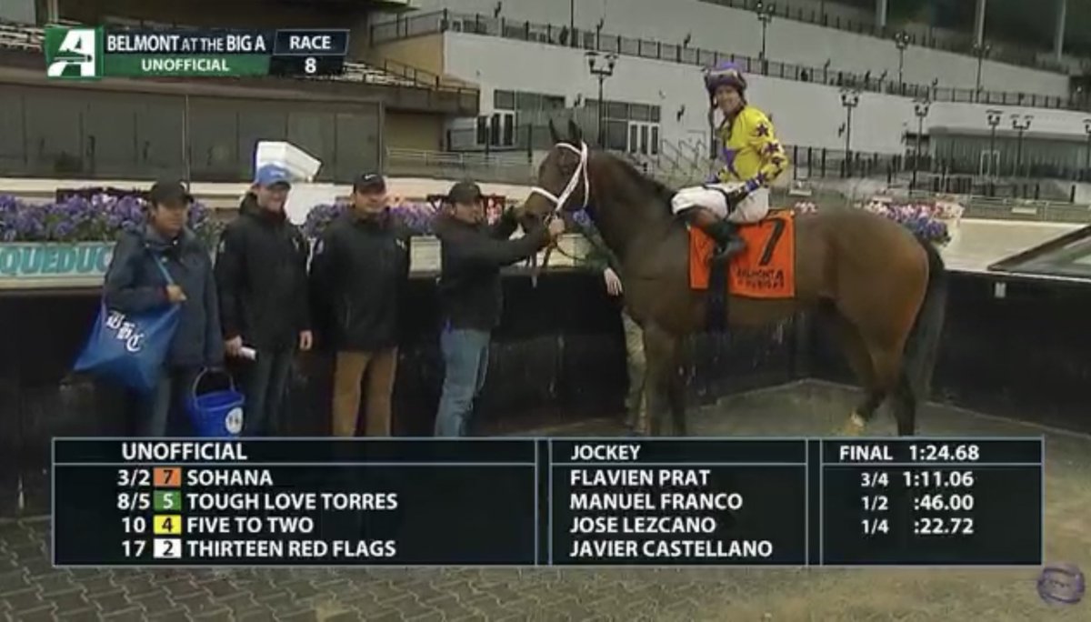 TopLineTBs's tweet photo. Homebred “Sohana” out of Passeporta by Solomini wins in style at Belmont in an allowance race. Congratulations to her owners Greg Hoffman and partners. @cscherer1984 @bradcoxracing @FlavianPrt77 #Solomini @McMahonSaratoga She’s one pretty filly. @OBSSales March Grad https://t.co/JDRF7phzpq