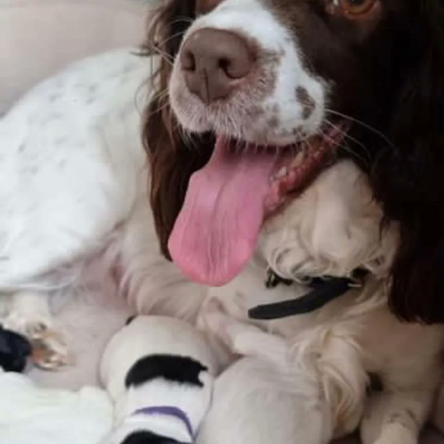 Hello from sandy wishing you'll happy weekend with her adorable 3days old baby girl