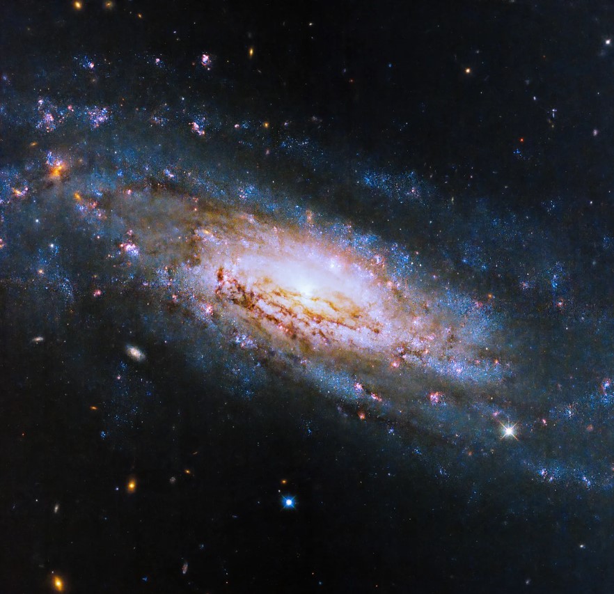 This @NASAHubble image shows NGC 4951, an extremely energetic galaxy powered by supermassive black holes! 🕳️ As we wrap up #BlackHoleWeek, learn how Hubble proved that supermassive black holes exist at the core of almost every galaxy in our universe >> go.nasa.gov/4ag9sGJ
