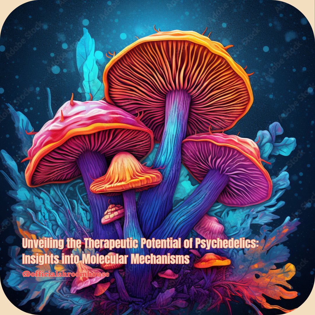 Psychedelic research in Nature sheds light on serotonin receptors, unlocking potential for treating depression and anxiety. #PsychedelicTherapy #MentalHealth #ResearchBreakthrough
