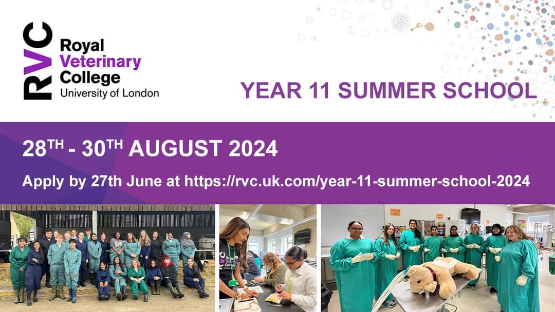 Free non-residential Year 11 Summer School is now accepting applications!  If you are aspiring to study a degree in Biological Sciences, Veterinary Medicine or Veterinary Nursing...
28th - 30th. Applications will close on Thursday 27th June 2024. rvc.uk.com/year-11-summer…