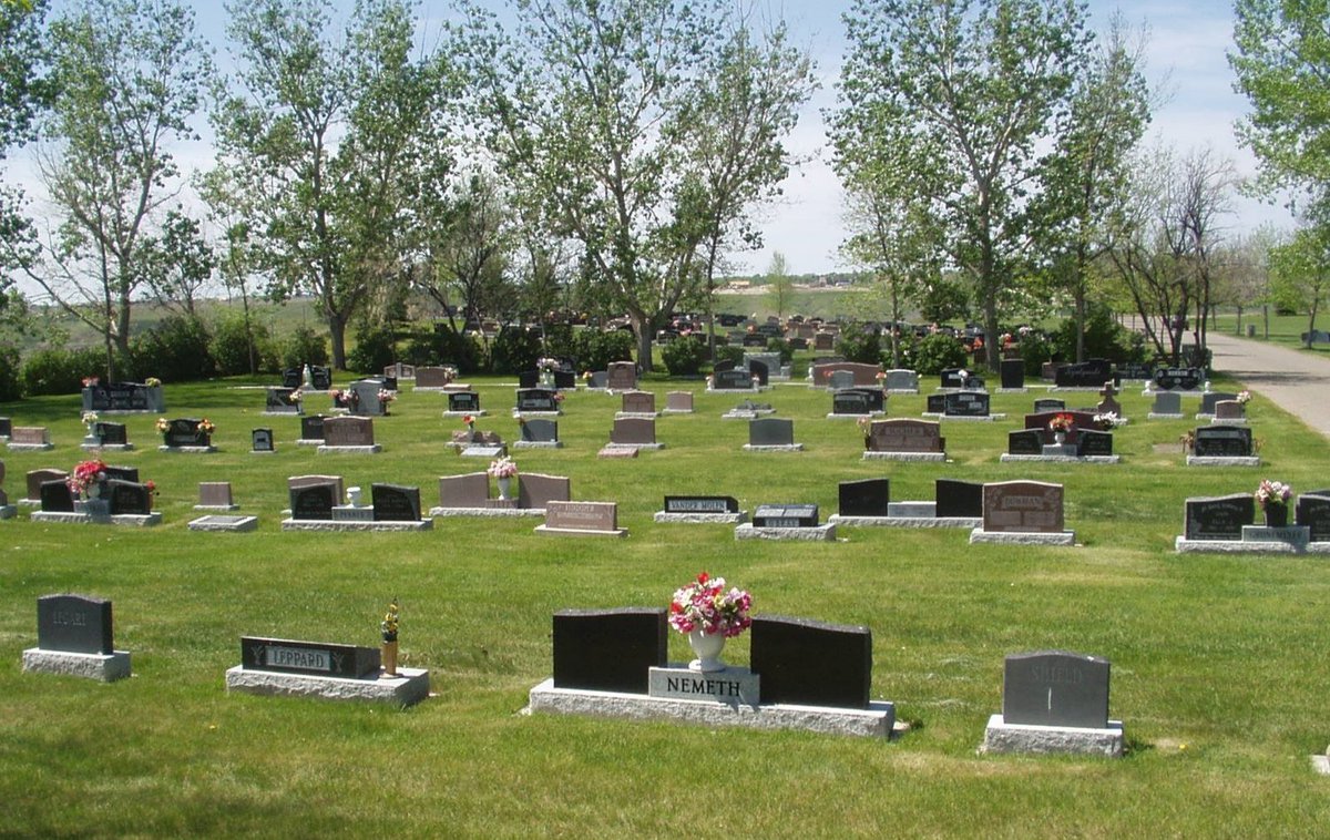The City of Lethbridge is helping to honour the memory of loved ones on Mother's Day. Roses will be given to the first 300 visitors at Mountain View Cemetery on Sunday, May 12. The flowers will also be offered on Father's Day. Read more 👉 lethbridge.ca/news/posts/mot… #yql