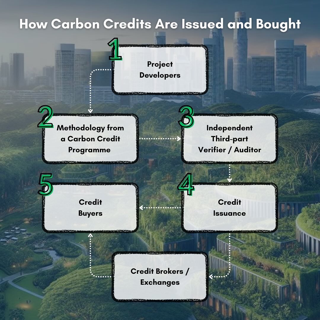 🌱💰 Carbon credits – the green currency for a cleaner future!

💡 They spark investments in renewables, reforestation, and eco-tech. Companies earn credits to offset their carbon footprint.

#CarbonCredits #Sustainability #ClimateAction #TinergyGroup