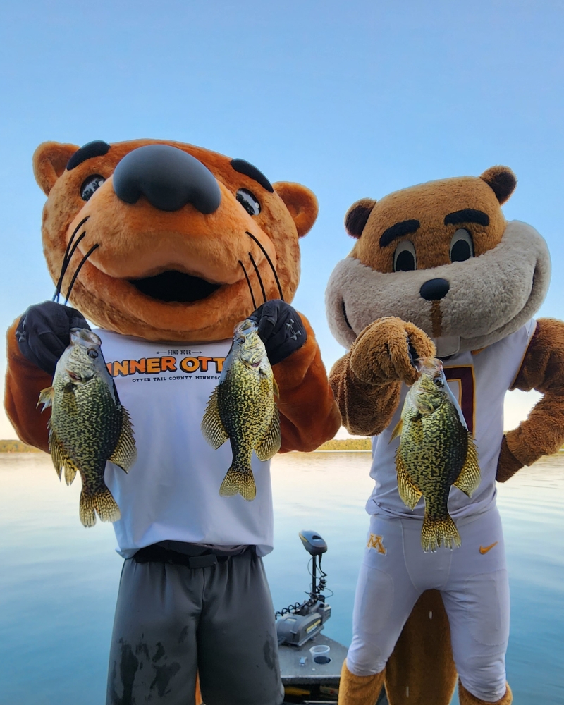 Best of luck to all the anglers out there this weekend. Pro-tip, if the walleyes ain't biting, try catchin' something else. Crappies are a good choice. #lakelife #Minnesota #onlyinmn #fishing We are proud sponsors of @GopherSports