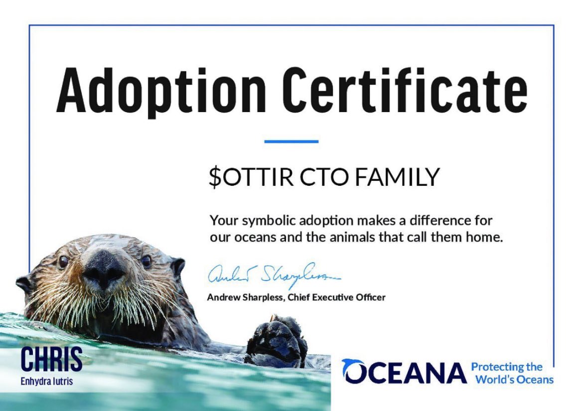 Amazing Community &amp; Team Within $OTTIR.

We are raising awareness to adopt and save as many Otters as we possibly can, all while having fun at it! 

Come join us and see what we’re about 🦦❤️

P.S. we’ve already adopted our first Otter, Chris!