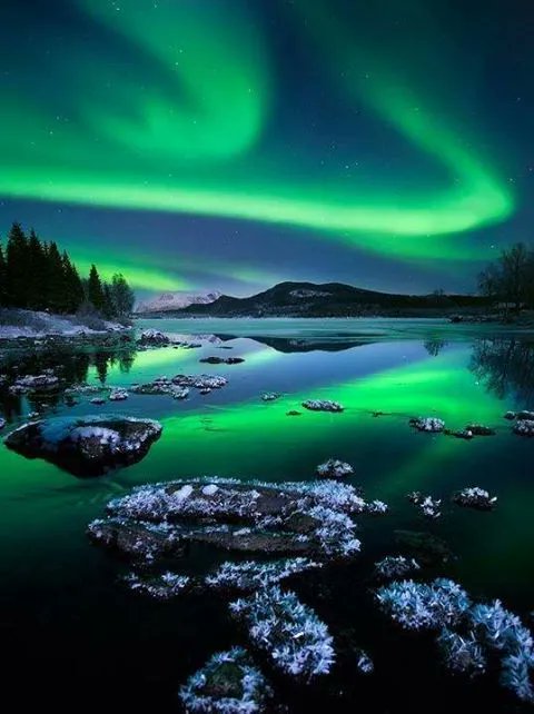 Kuzey Işıkları, Alaska. ✨