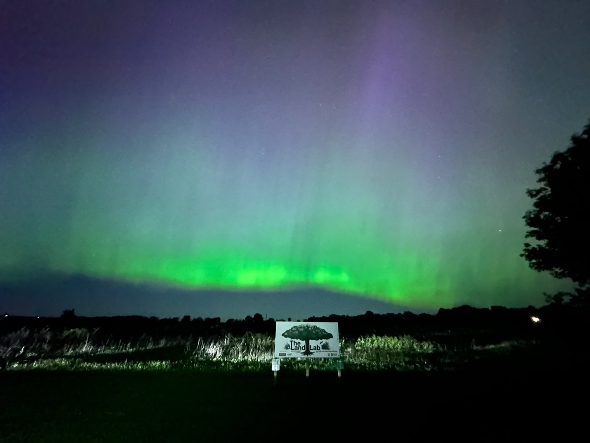 Busticlese's tweet image. 