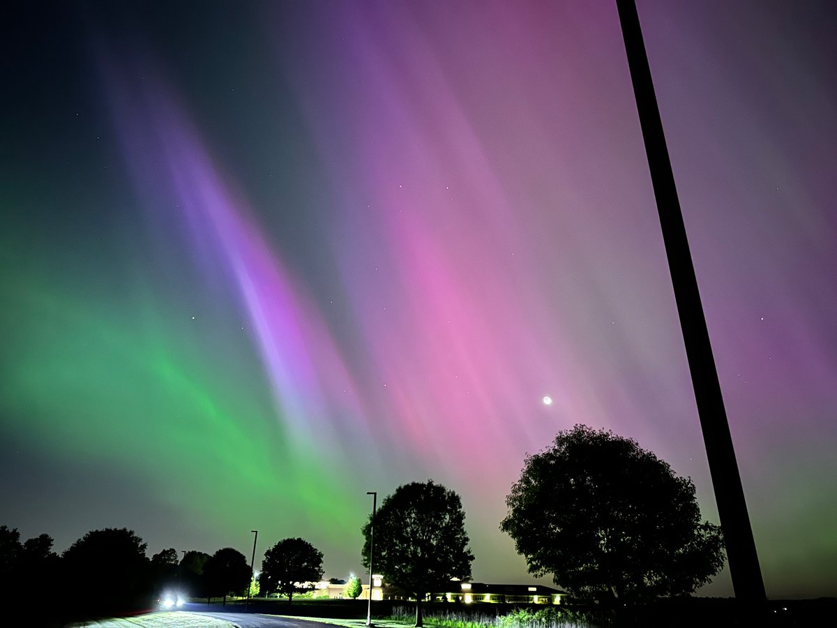 Busticlese's tweet image. 