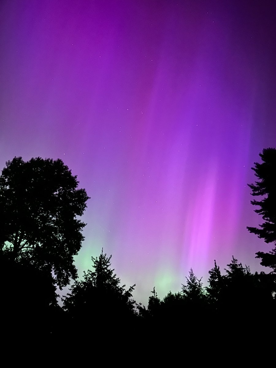 Busticlese's tweet image. 