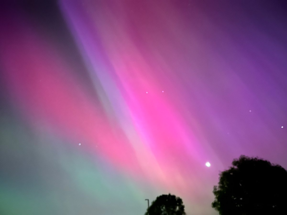 Busticlese's tweet image. 