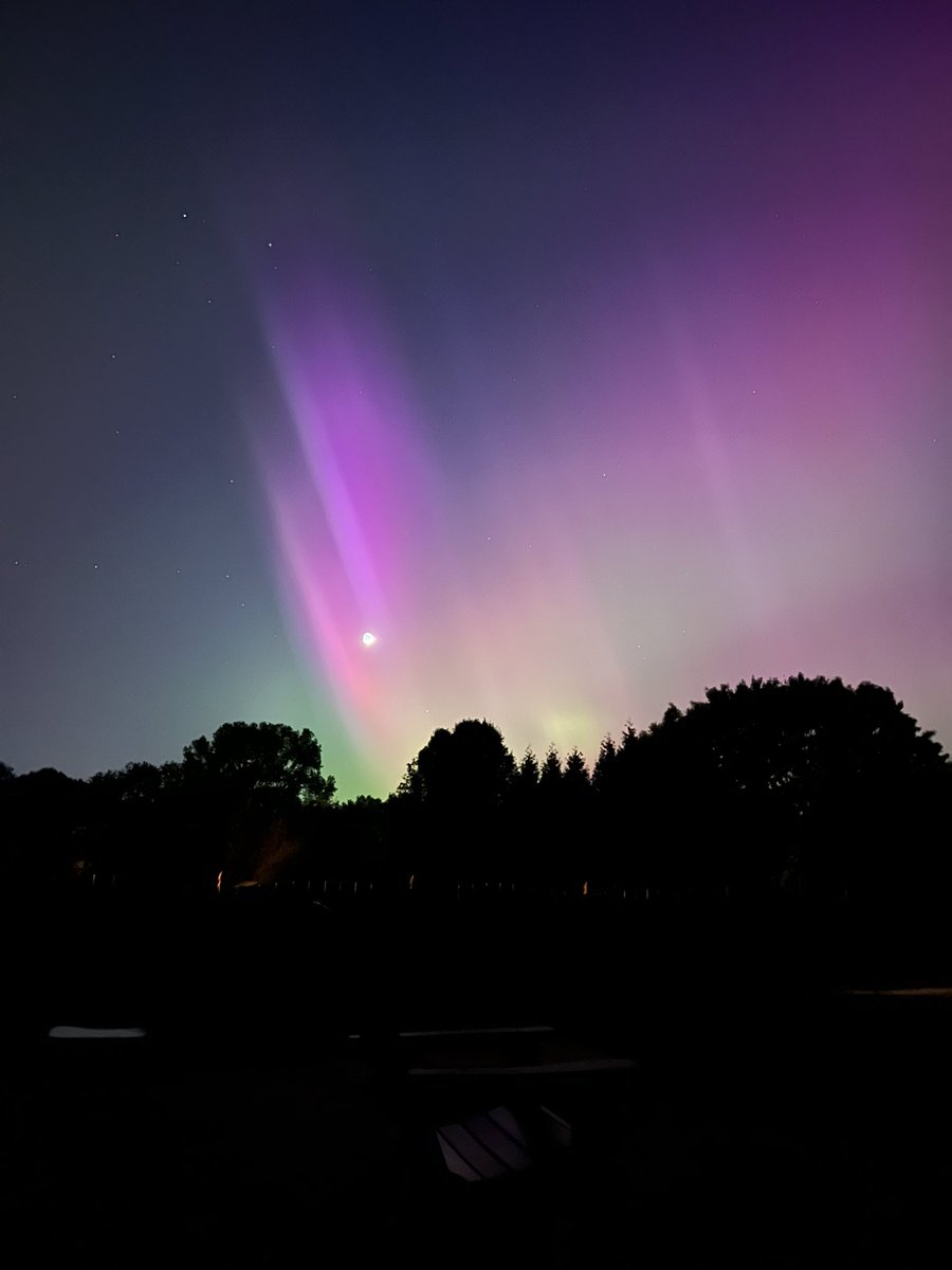 Stacy McAnulty tweet media