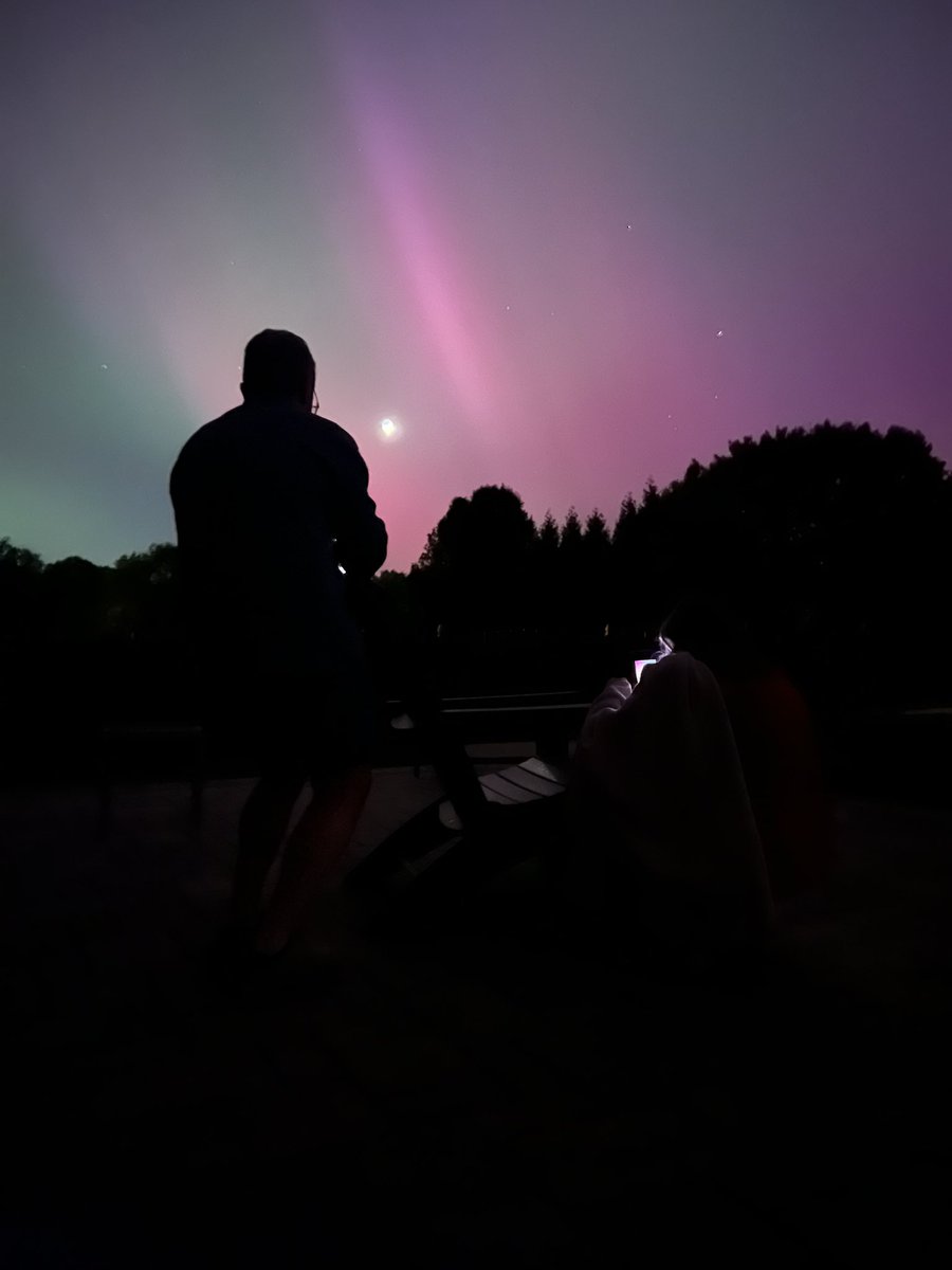 View from my backyard in NC. #aurora