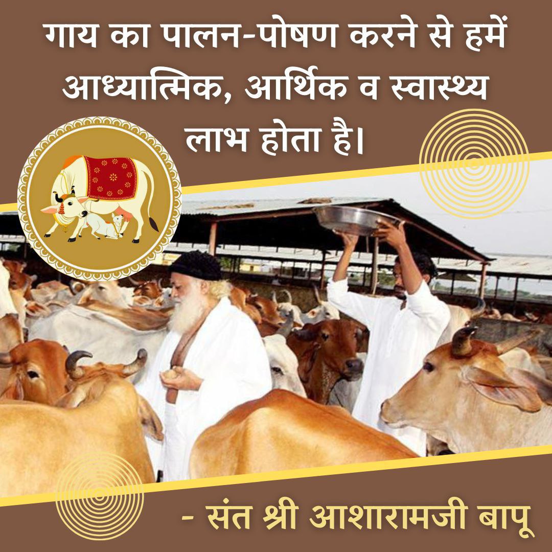 @Asharamjiashram Sant Shri Asharamji Bapu has worked for protection of Cows & encouraged Gau Sewa as Cow products provide numerous benefits to Mankind.
Gau Rakshak Bapuji always say Gaay Hame Palti Hai by giving us healthy dudh, makhan, ghee etc.

So we should #SaveOurDesiGaay